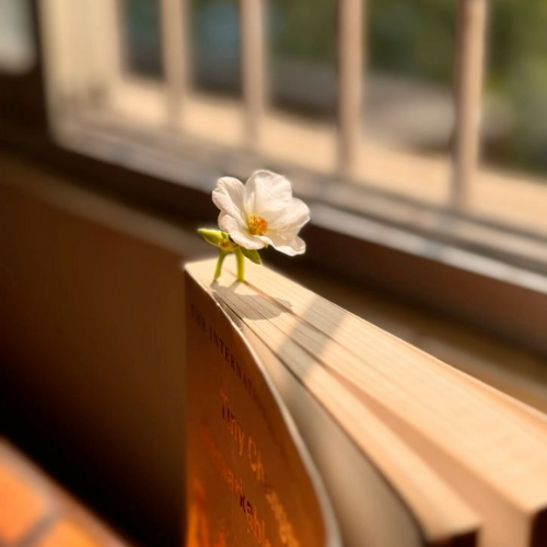 يامرحبا بجنتي