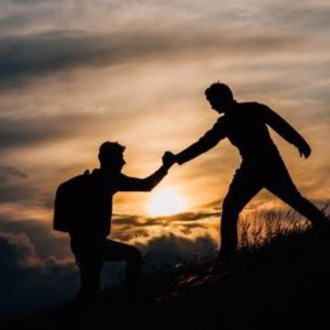 T.Z: الرمز الذي لا يفهمه إلا صديقي